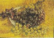 Vincent Van Gogh Still Life with Grapes France oil painting artist